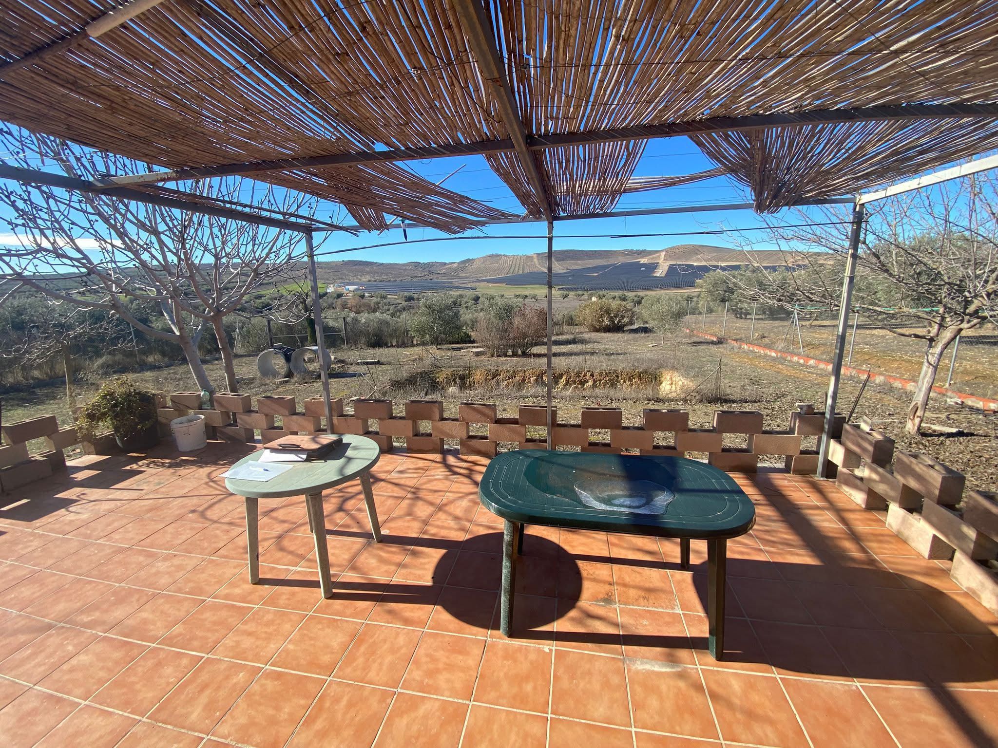Finca 14