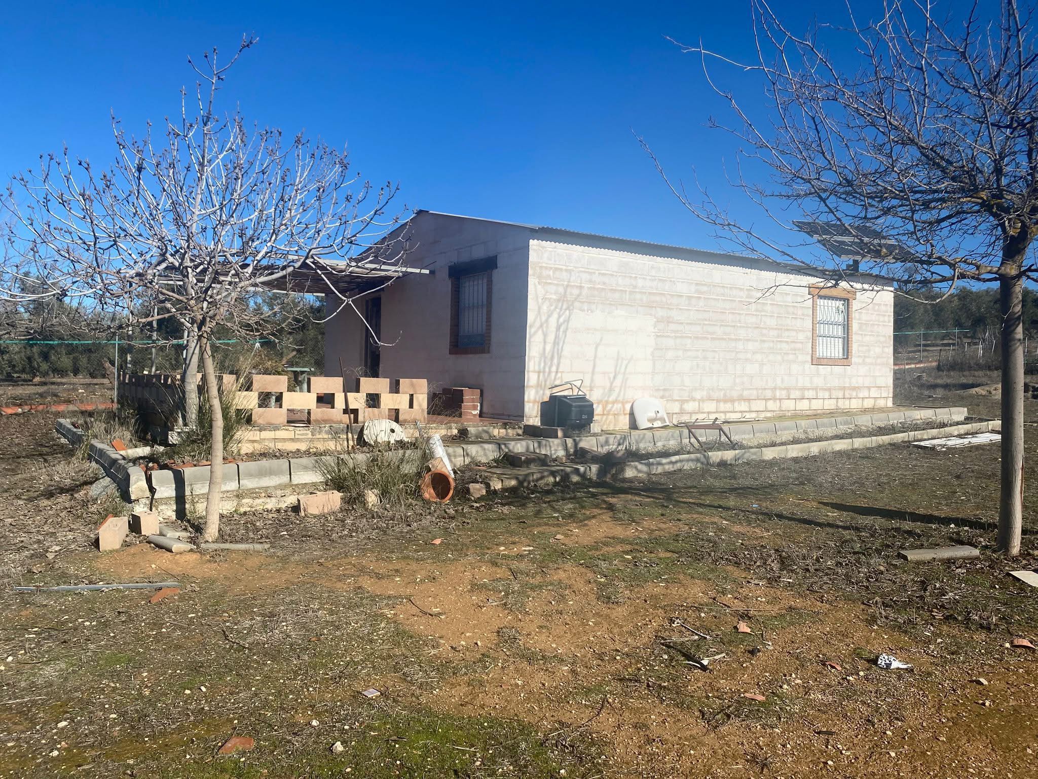 Finca 2