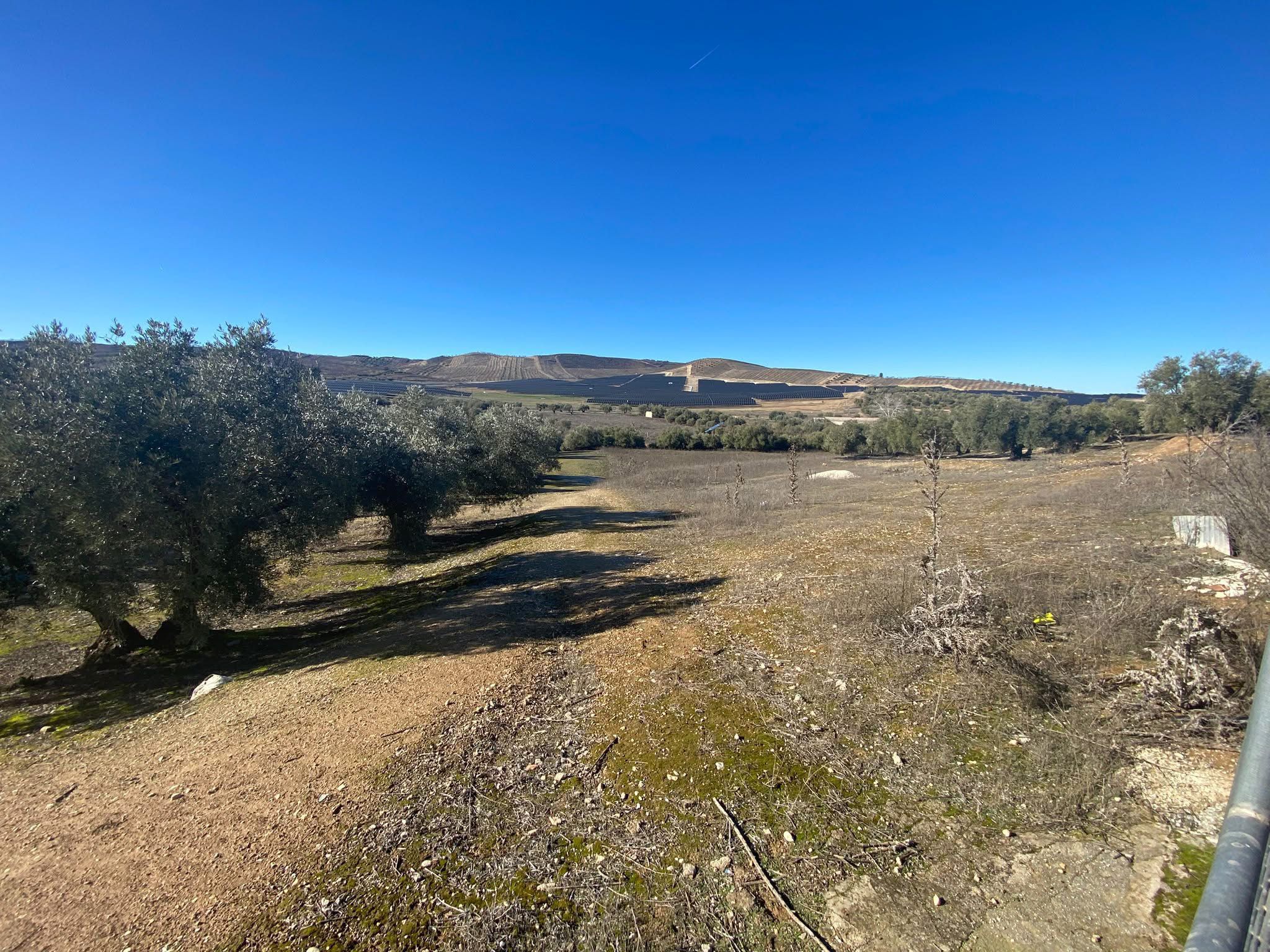 Finca 5
