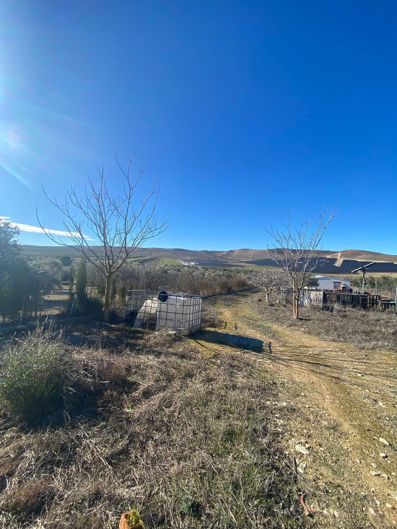 Finca 6