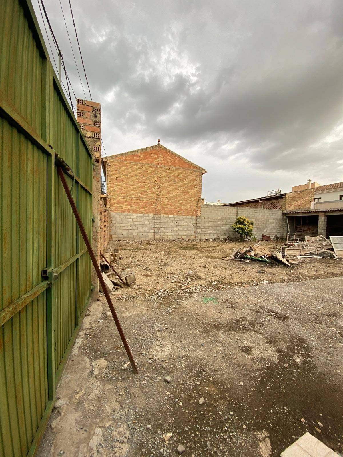 Imagen 2