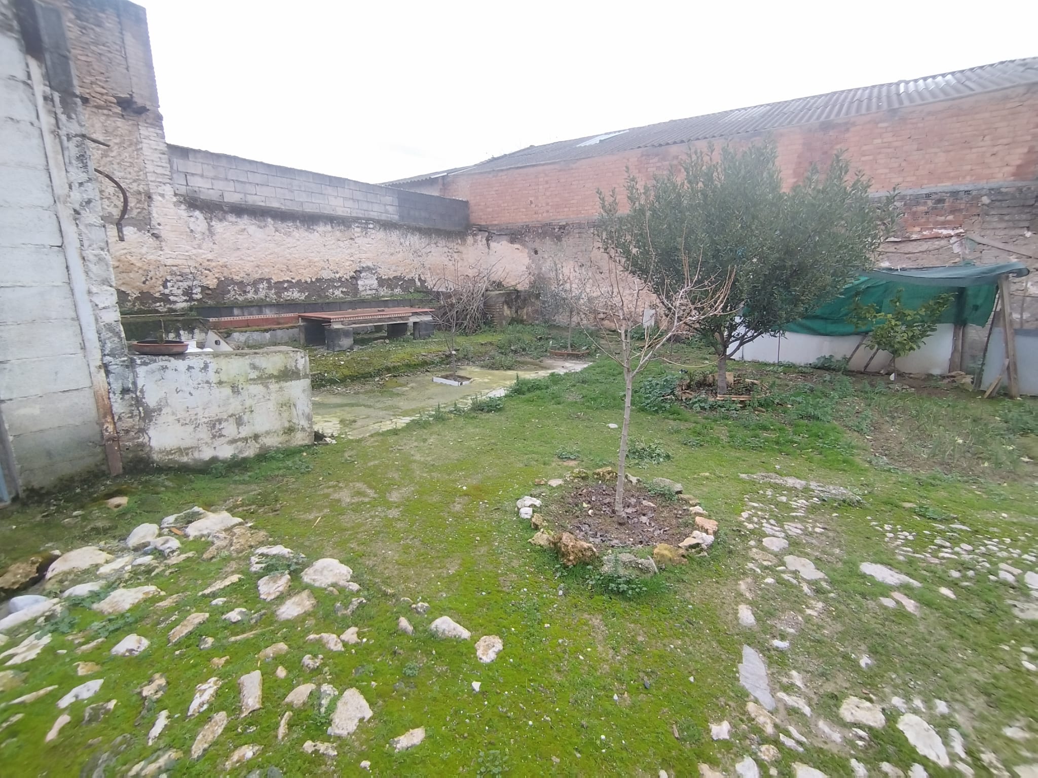 Foto 3